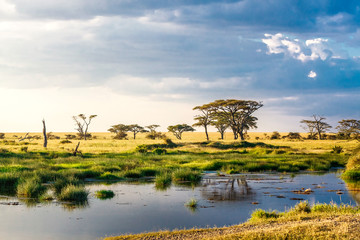 lake in the serengeti tanzania africa