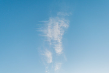 Canvas Print - A small white cloud in the sky