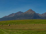 Fototapeta Sawanna - Beautiful summer panorama over Spisz highland with sheaves of hay to Tatra mountains, Poland