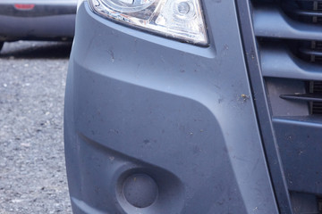 midges insects on the bumper and hood of the car