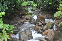 Rivers And Waterfalls In The Tropical Forest Of Panama