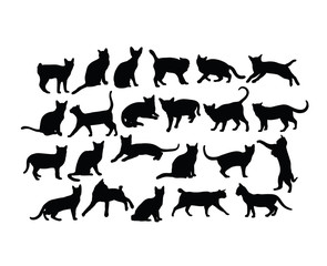 Wall Mural - Cat Activity Silhouettes, art vector design