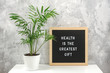© IRINA - Health is the greatest gift. Motivational quote on letter board on white table and green exotic palm flower in pot, gray stone wall. Concept Health Care and Medicine, inspirational quote of the day
