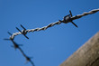Barbwire fence close up on sharp edges