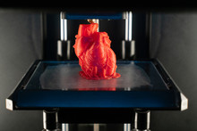 3d Printer Prints The Model Of Heart, Process Of Printing Organs On A 3d Printer, Creating A Model Of The Human Heart.