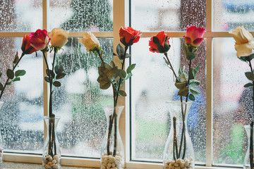 Flowers in a small glass pots by the window when the rain is falling.