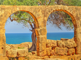 Tipaza ruins, Algeria