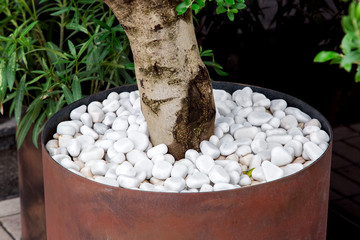 iron round flowerpot for decorative wood with mulching pebbles of white stone, close up.