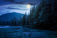 Lake Summer Landscape At Night. Beautiful Scenery Among The Forest In Mountains In Full Moon Light