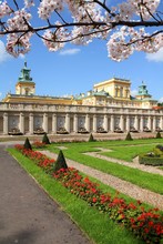Wilanow In Warsaw City, Poland. Cherry Blossoms Spring Time.