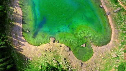 Wall Mural - top down view of carezza lake in summer, dolomites