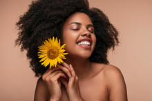Sensual Ethnic Woman With Sunflower