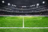 The soccer stadium with the ball on the line