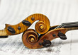 Two violins on a  sheet music background. Violin heads