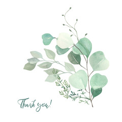 Watercolor green eucalyptus, olive  leaves. Watercolor floral illustration collection  - green leaf branches set for wedding stationary, wallpapers, background,  greetings. 