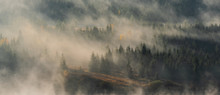 Morning Fog Over Forest And Mountain Lake