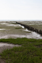 A Row Of Wooden Bollards Stands In The Wadden Sea At Low Tide.