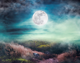 Wall Mural - beautiful bright full moon above wilderness area in forest. serenity nature background.