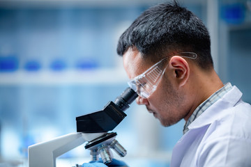 Wall Mural - scientist working with microscope in laboratory, medical science research