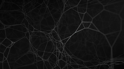 cobweb or spider wed isolated on black background. plexus fantasy abstract technology background. li