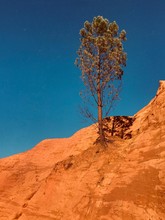 Diagonal Red Sandstone With Lonely Tree 
 On Intense Blue Sky - Diagonal De Grés Rouge Avec Un Arbre Sur Ciel Bleu Intense