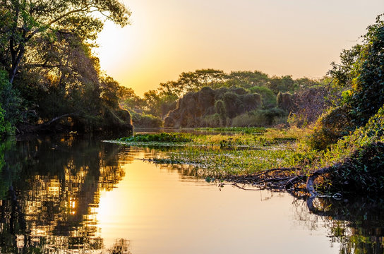 pantanal landscape