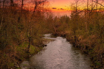 Wall Mural - 2020-03-31 THE ISSAQUAH CREEK AT DUSK