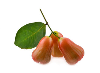 Wall Mural - Rose apple on white background