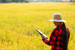 © WS Studio 1985 - woman using modern technologies in agriculture and agronomist farmer with digital tablet computer in rice field using apps and internet in agricultural production.golden rice field background