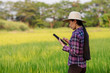 © WS Studio 1985 - woman using modern technologies in agriculture and agronomist farmer with digital tablet computer in rice field using apps and internet in agricultural production.golden rice field background
