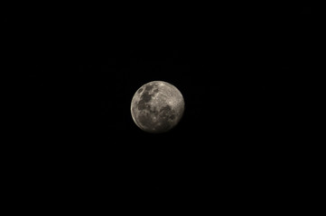 full moon in the night