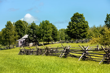 Wall Mural - Palmyra New York Sacred Grove home orchard. Forest Grove western New York near the home of Joseph Smith. Founder and Prophet of the Church of Jesus Christ of Latter-day Saints, Mormon