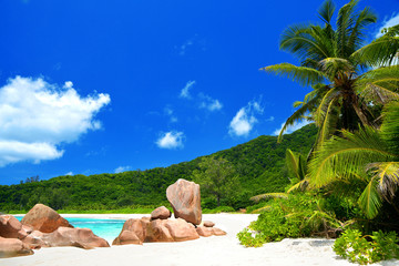 Anse Cocos beach in La Digue Island, Seychelles. Tropical landscape with sunny sky.