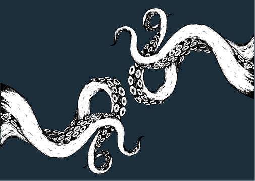 vector illustration of a tentacles 