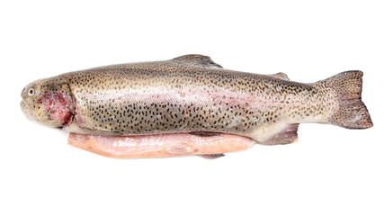 Poster - Gutted trout fish isolated on a white