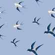 Vector seamless pattern with swallow flock