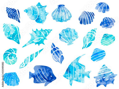 海の水彩風イラストセット 貝殻 巻貝 熱帯魚 Stock Vector Adobe Stock