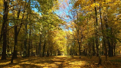  Barwy jesieni w parku w Strzelcach Opolskich Polska