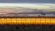 © creativenature.nl - Illuminated industrial greenhouse