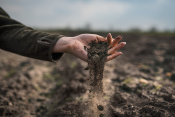 Female hands pouring a black soil in the field. Female agronomist testing a quality of soil. Concept of agriculture.