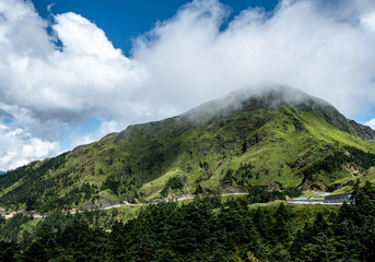 Taiwan forest area at Hehuanshan mountain 