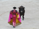 Spanish torero performing a bullfight at a big arena