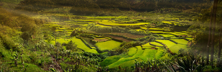 Poster - sunset in the rice field terraces in the area of banaue,in Philippines 