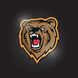 © Dmitry - Modern professional bear logo for a sport team