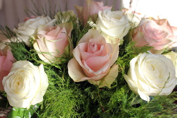 A bouquet of beautiful white and pink roses. Macro. Wallpaper