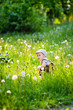 © Elena  - Beautiful little boy with long hair in the park blowing dandelion at sunset. Child playing with dandelion in spring park