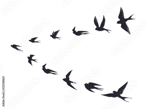 Fotografía Flying birds flock silhouette