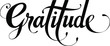 Gratitude - custom calligraphy text