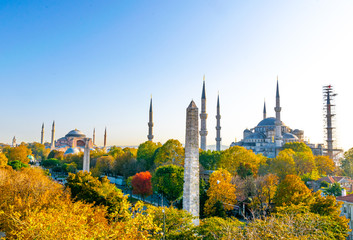 Wall Mural - Panoramic autumn view of Blue Mosque , walled Obelisk and hagia sophia museum. Histoical monuments and travel destination -Istanbul.Turkey. 2020