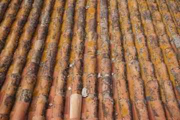 Roof tlles outdoor photography is also a good background 